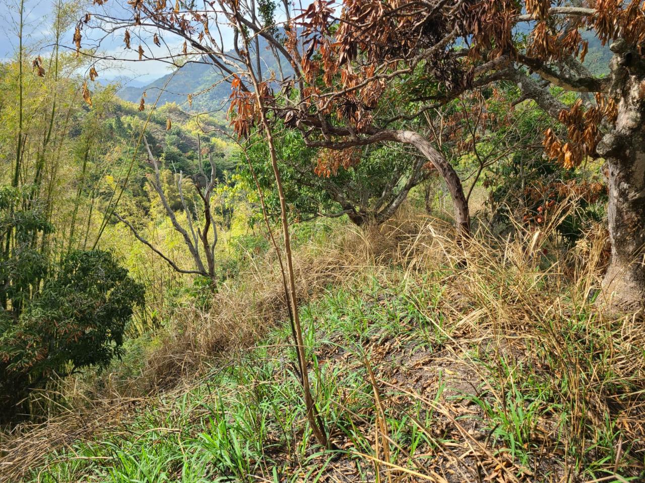 Prime-2.55-Acre-Residential-Lot-for-Sale-in-Norbrook-Jamaica Fourth image of Hermitage Norbrook Kingst in Kingston 8, St. Andrew, Jamaica - property is For Sale