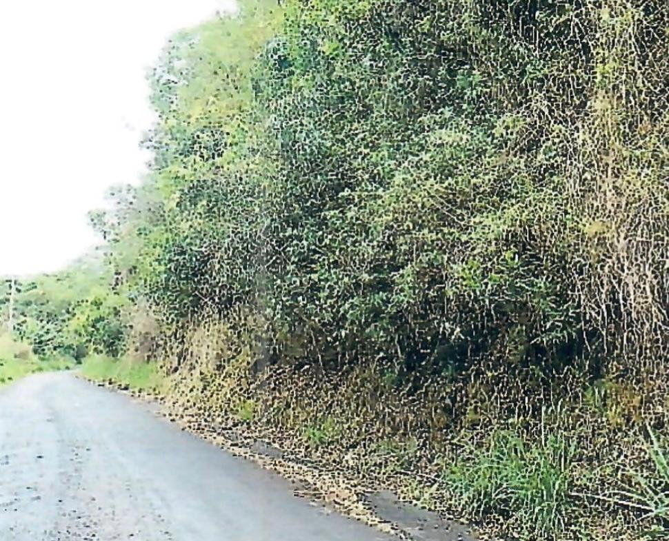 Fifth image of Hermitage Norbrook Kingst in Kingston 8, St. Andrew, Jamaica - property is For Sale