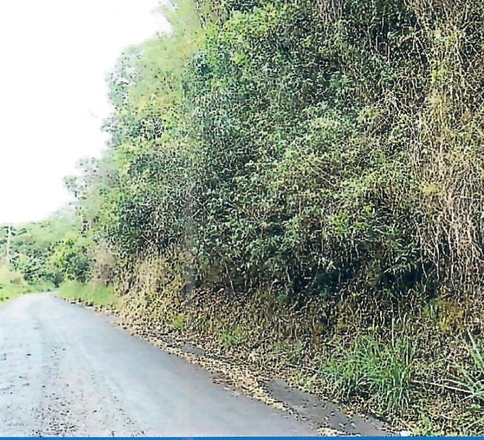 Prime-2.55-Acre-Residential-Lot-for-Sale-in-Norbrook-Jamaica Fifth image of Hermitage Norbrook Kingst in Kingston 8, St. Andrew, Jamaica - property is For Sale