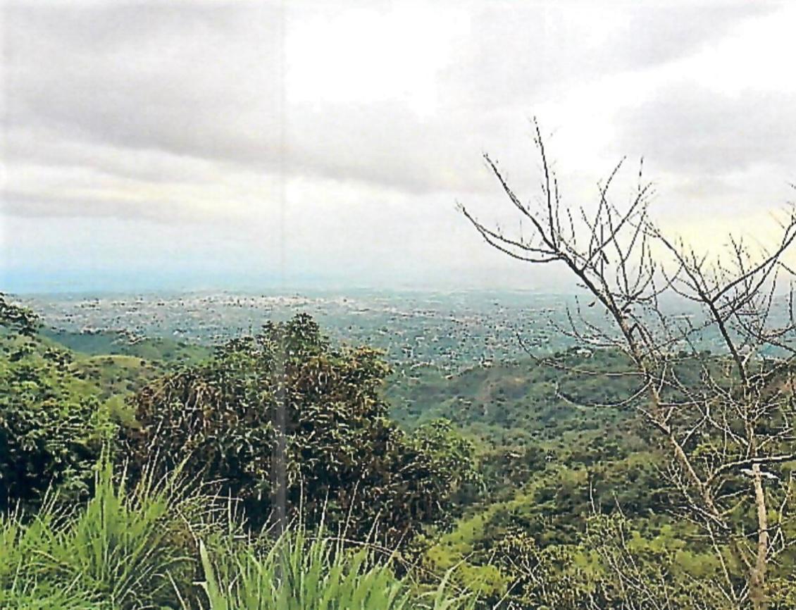 Prime-2.55-Acre-Residential-Lot-for-Sale-in-Norbrook-Jamaica Seventh image of Hermitage Norbrook Kingst in Kingston 8, St. Andrew, Jamaica - property is For Sale