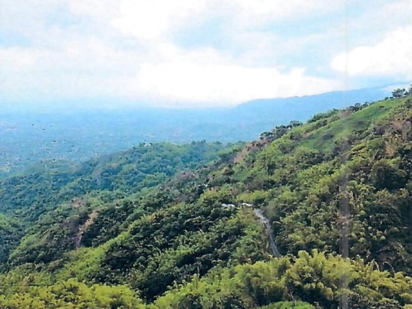 Eighth image of Hermitage Norbrook Kingst in Kingston 8, St. Andrew, Jamaica - property is For Sale