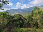 First image of Hermitage Norbrook Kingst in Kingston 8, St. Andrew, Jamaica - property is For Sale