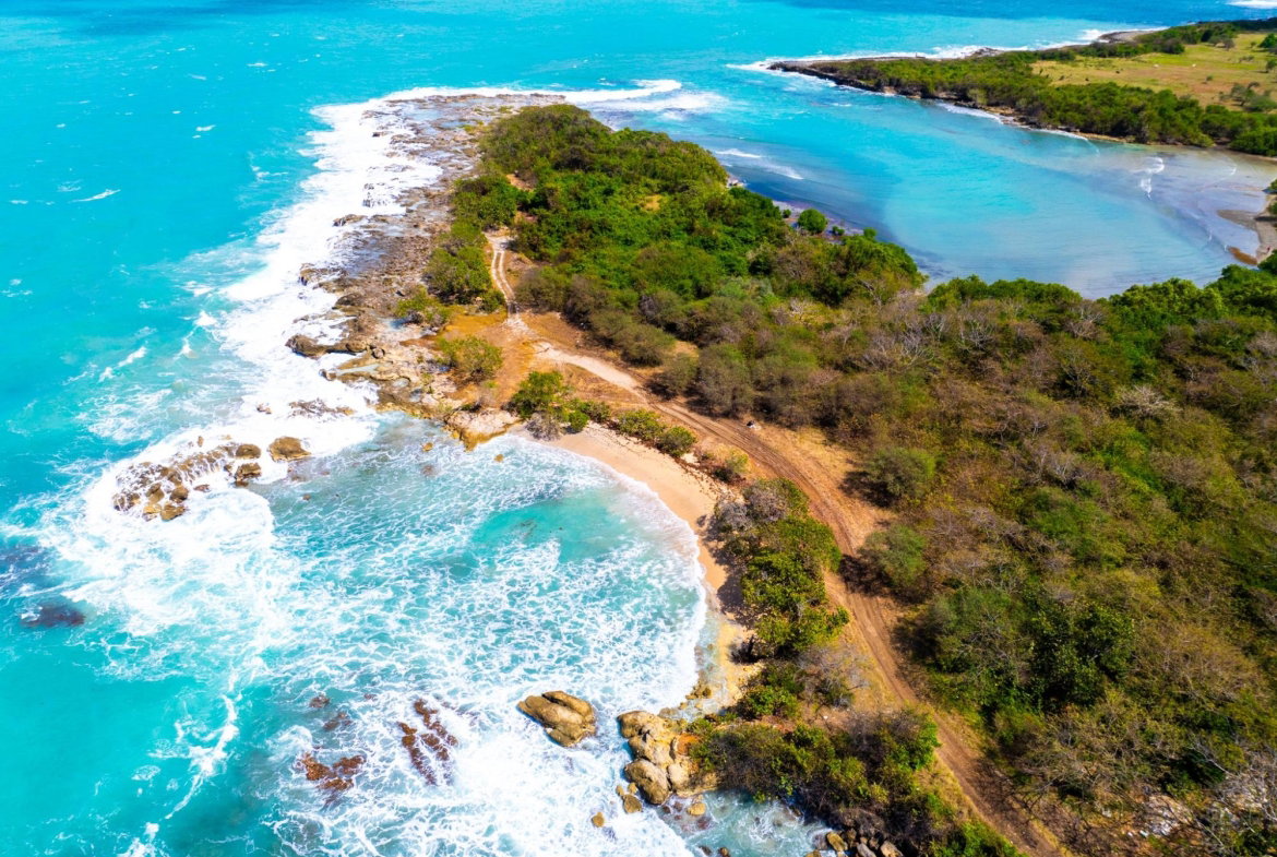 Fourth image of Point, Hanover in Point, Hanover, Jamaica - property is For Sale