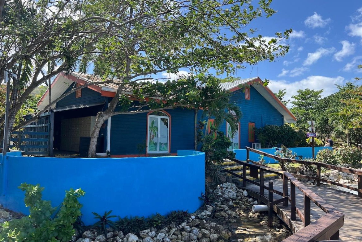 Sixth image of Point, Hanover in Point, Hanover, Jamaica - property is For Sale