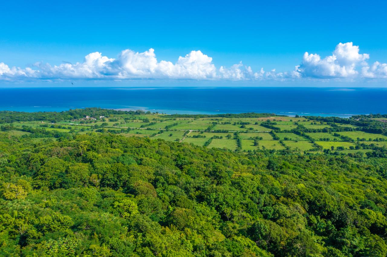 Second image of Cranbrook Pen Saint Ann in Laughlands, St. Ann, Jamaica - property is For Sale
