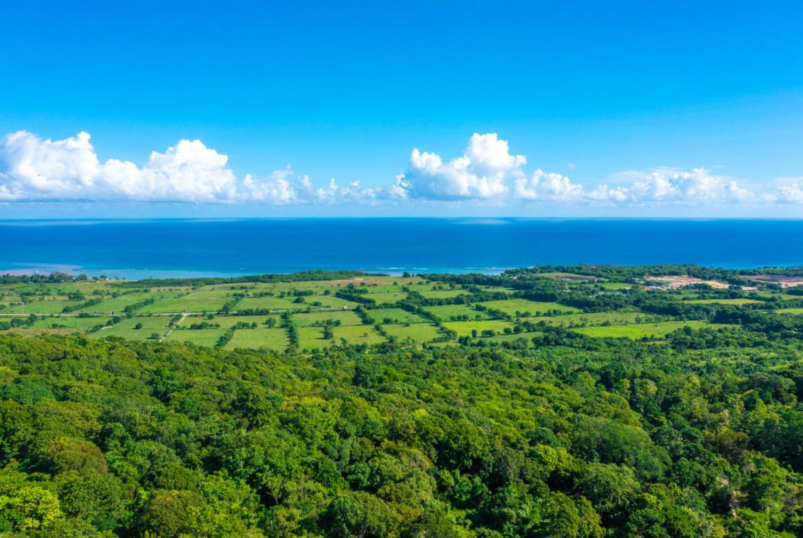 Third image of Cranbrook Pen Saint Ann in Laughlands, St. Ann, Jamaica - property is For Sale