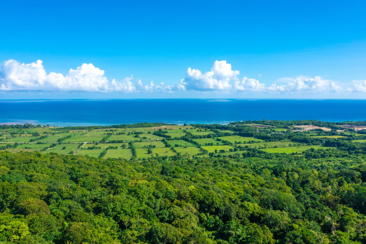 Third image of Cranbrook Pen Saint Ann in Laughlands, St. Ann, Jamaica - property is For Sale