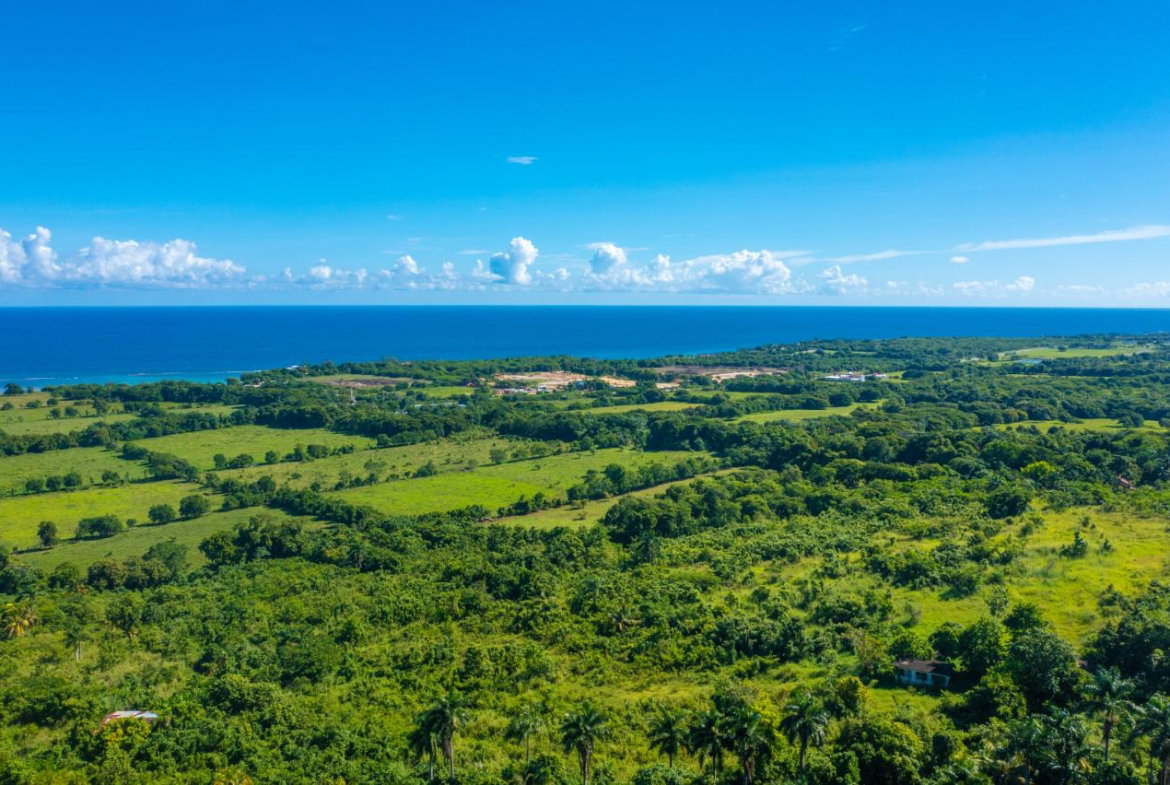 Fifth image of Cranbrook Pen Saint Ann in Laughlands, St. Ann, Jamaica - property is For Sale
