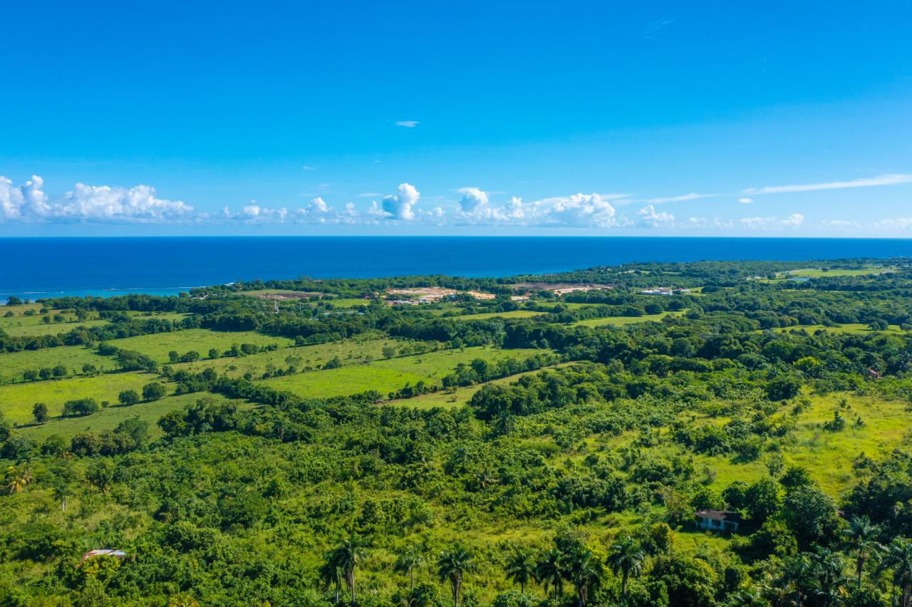 Fifth image of Cranbrook Pen Saint Ann in Laughlands, St. Ann, Jamaica - property is For Sale