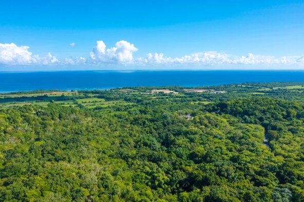Sixth image of Cranbrook Pen Saint Ann in Laughlands, St. Ann, Jamaica - property is For Sale
