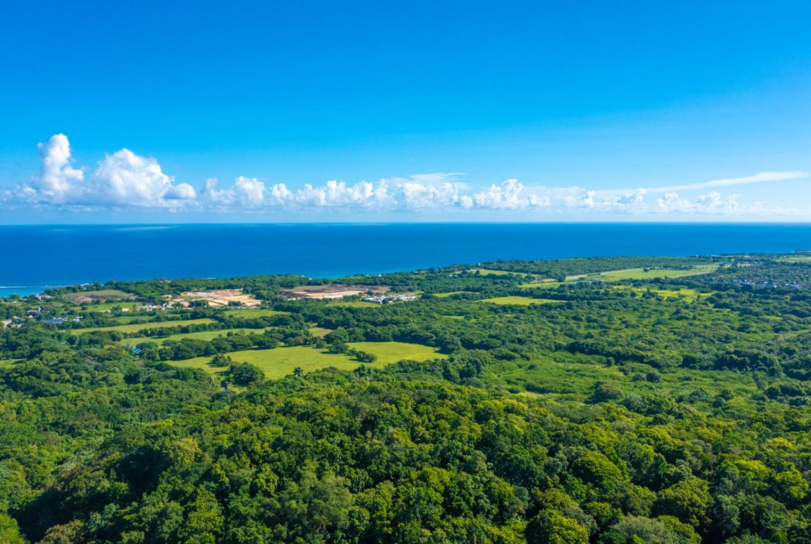 Seventh image of Cranbrook Pen Saint Ann in Laughlands, St. Ann, Jamaica - property is For Sale