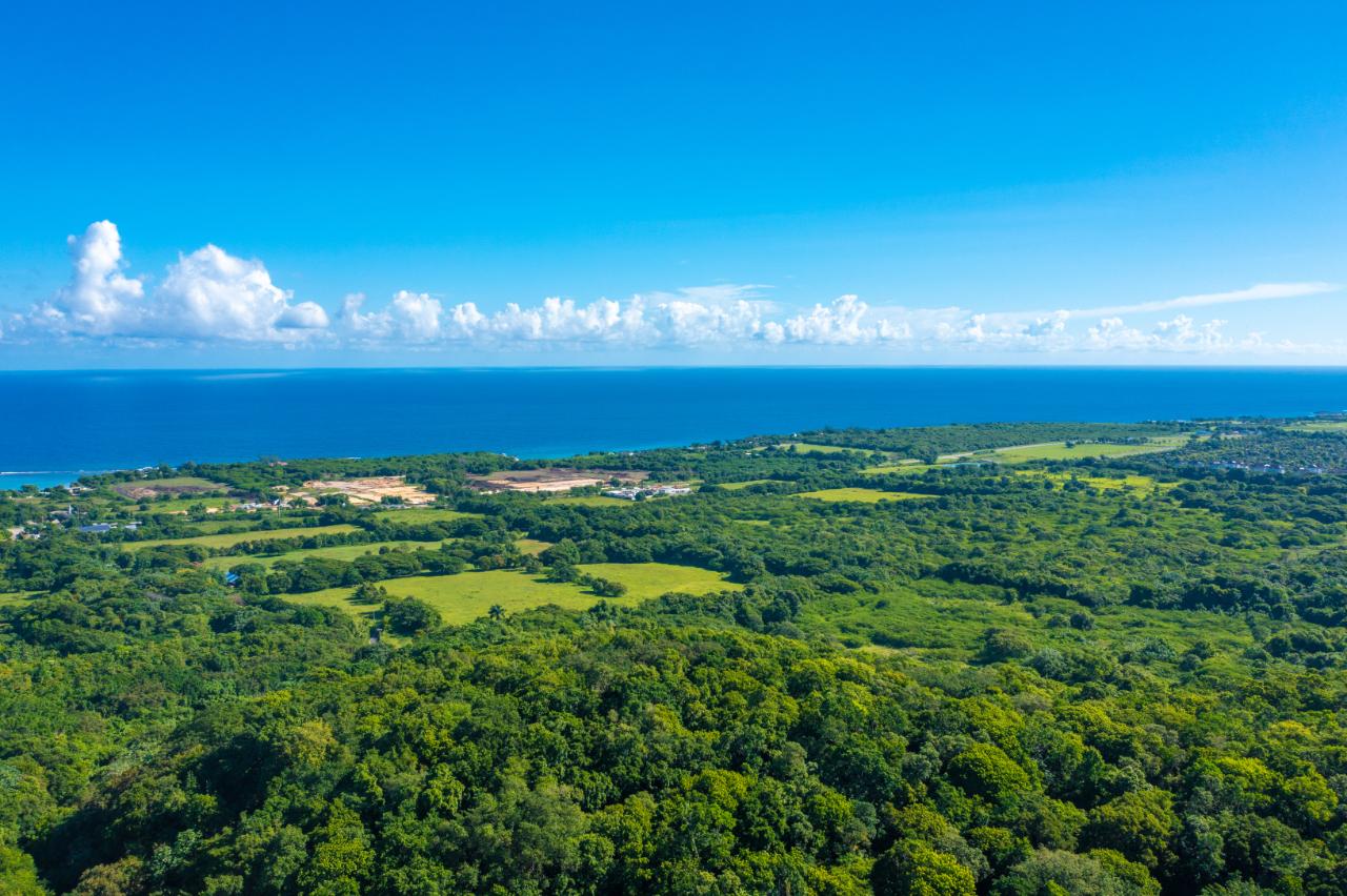 Seventh image of Cranbrook Pen Saint Ann in Laughlands, St. Ann, Jamaica - property is For Sale