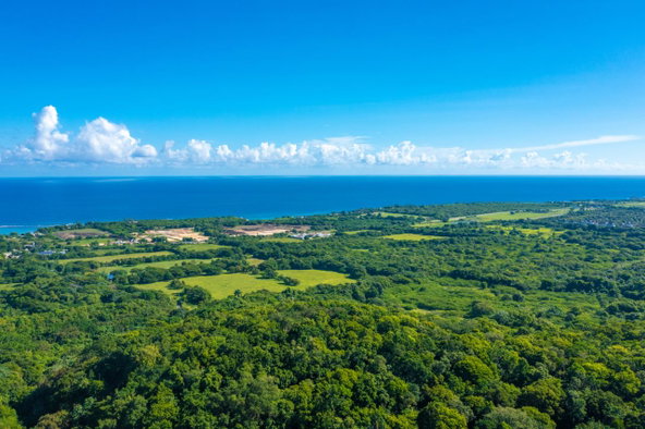 Seventh image of Cranbrook Pen Saint Ann in Laughlands, St. Ann, Jamaica - property is For Sale