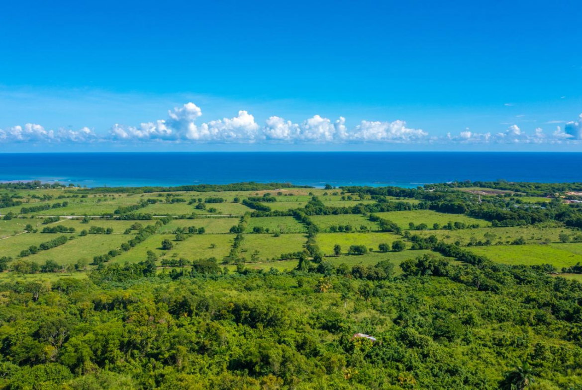 Eighth image of Cranbrook Pen Saint Ann in Laughlands, St. Ann, Jamaica - property is For Sale