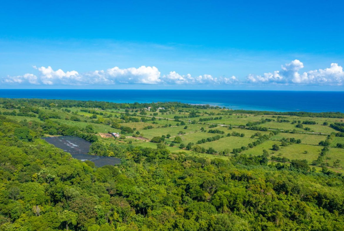 Ninth image of Cranbrook Pen Saint Ann in Laughlands, St. Ann, Jamaica - property is For Sale