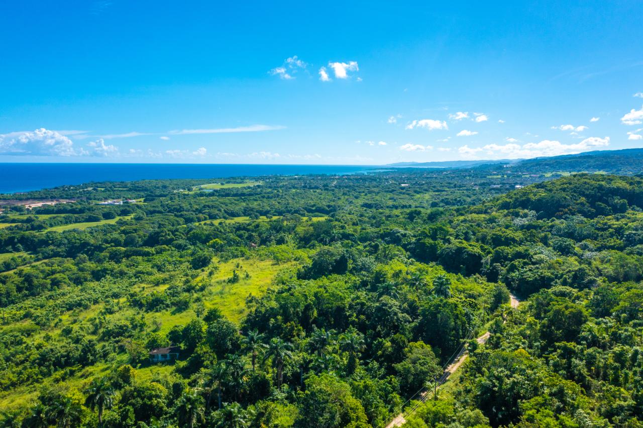 Tenth image of Cranbrook Pen Saint Ann in Laughlands, St. Ann, Jamaica - property is For Sale