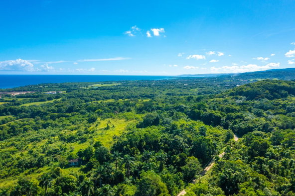 Tenth image of Cranbrook Pen Saint Ann in Laughlands, St. Ann, Jamaica - property is For Sale