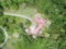 First image of Charlottenburgh in Clonmel, St. Mary, Jamaica - property is For Sale