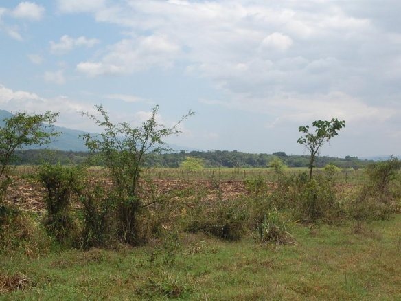 First image of 7 Bogue, Saint Elizabeth in Elim, St. Elizabeth, Jamaica - property is For Sale