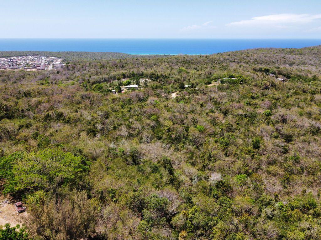 Fifth image of Stewart Castle in Falmouth, Trelawny, Jamaica - property is For Sale