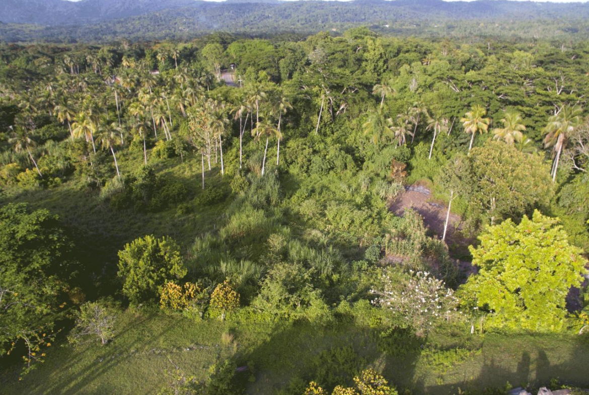 Second image of Ballard Valley Estates in Ballards Valley, St. Mary, Jamaica - property is For Sale