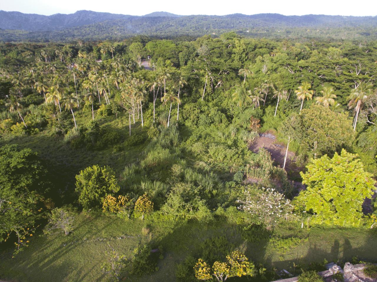 Second image of Ballard Valley Estates in Ballards Valley, St. Mary, Jamaica - property is For Sale