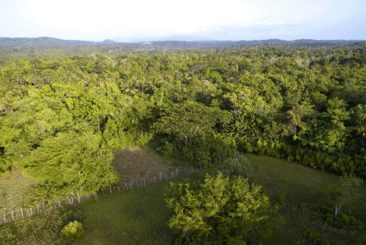 Third image of Ballard Valley Estates in Ballards Valley, St. Mary, Jamaica - property is For Sale