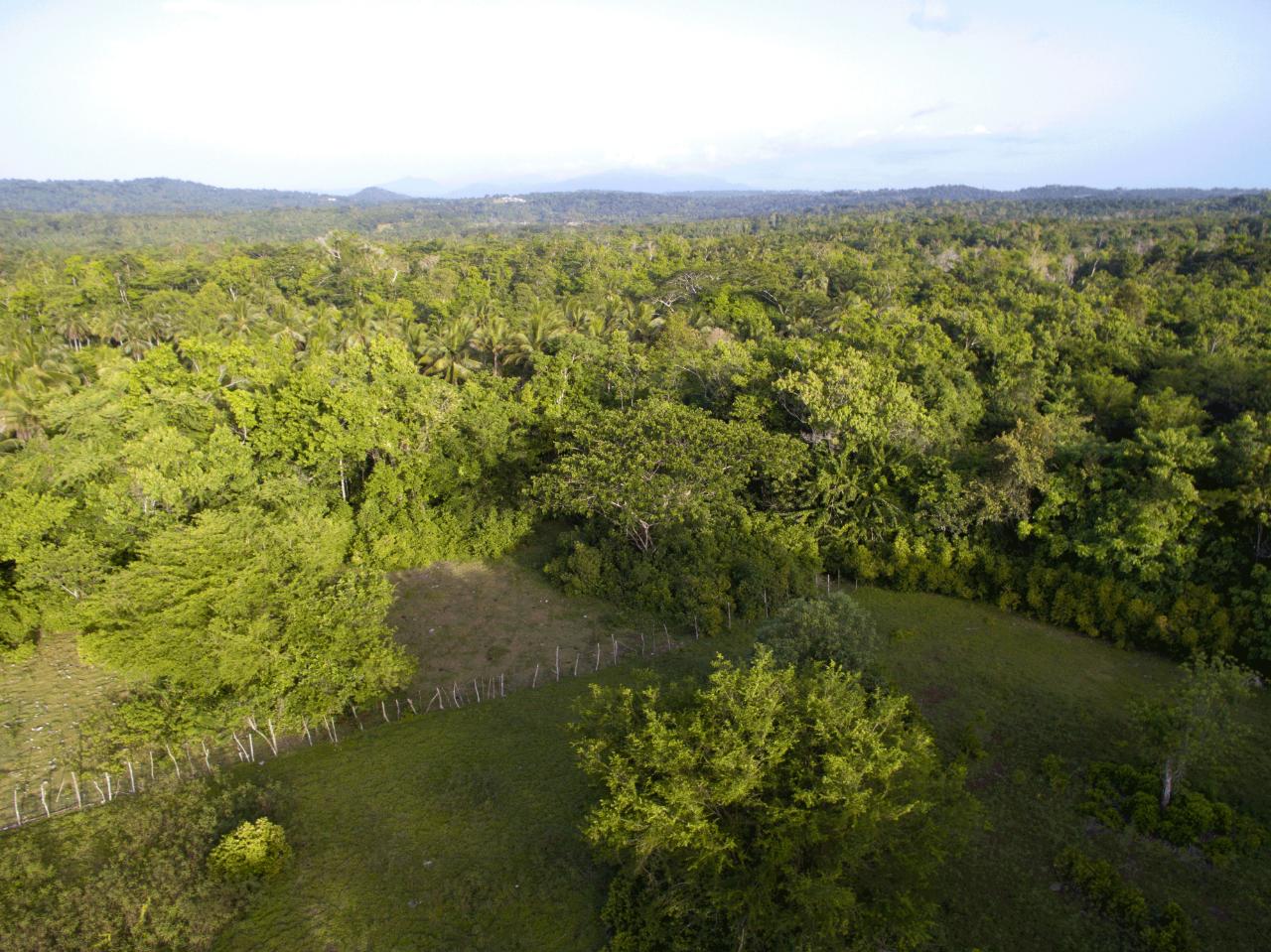 Third image of Ballard Valley Estates in Ballards Valley, St. Mary, Jamaica - property is For Sale