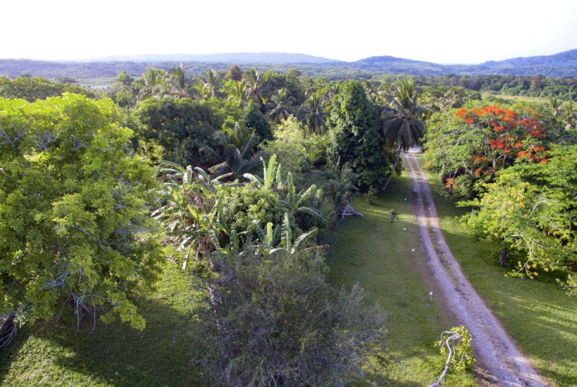 Fourth image of Ballard Valley Estates in Ballards Valley, St. Mary, Jamaica - property is For Sale