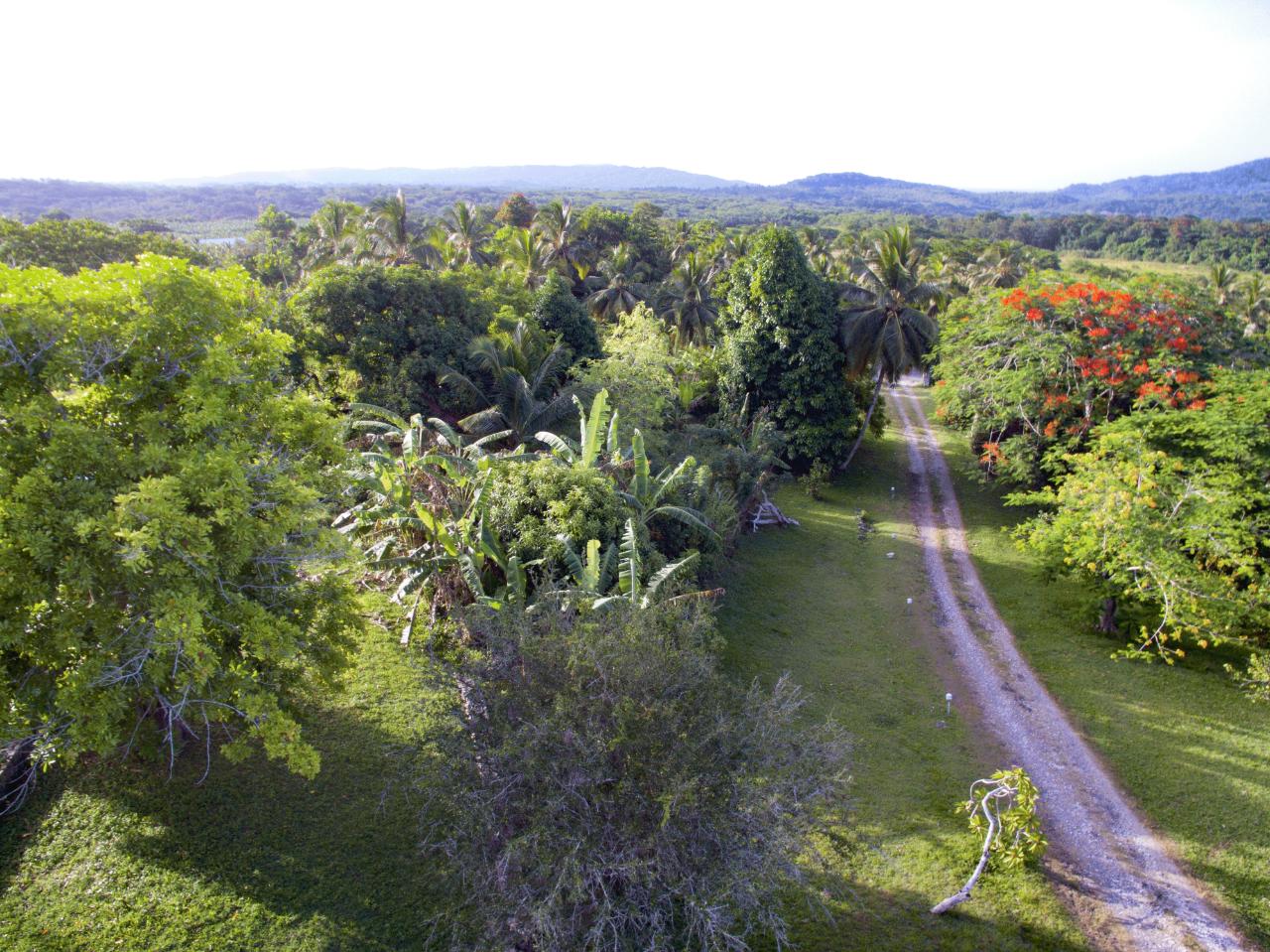 Fourth image of Ballard Valley Estates in Ballards Valley, St. Mary, Jamaica - property is For Sale