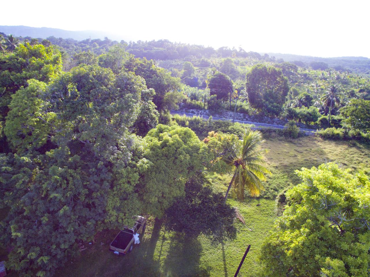 Fifth image of Ballard Valley Estates in Ballards Valley, St. Mary, Jamaica - property is For Sale