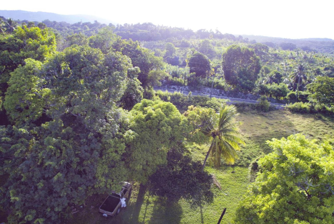 Sixth image of Ballard Valley Estates in Ballards Valley, St. Mary, Jamaica - property is For Sale