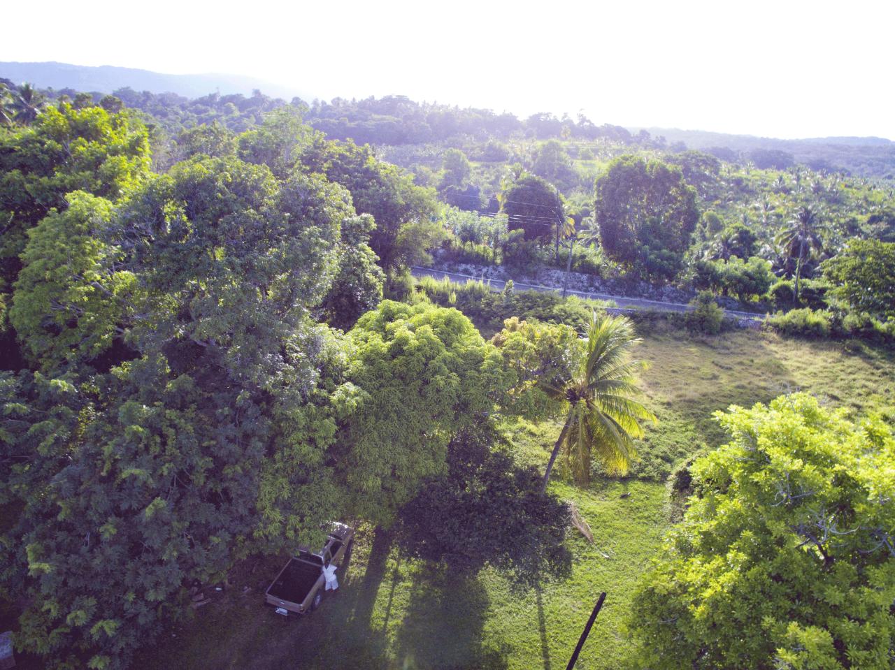 Sixth image of Ballard Valley Estates in Ballards Valley, St. Mary, Jamaica - property is For Sale