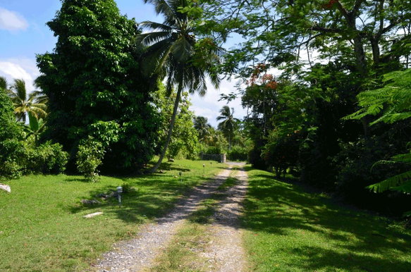 First image of Ballard Valley Estates in Ballards Valley, St. Mary, Jamaica - property is For Sale