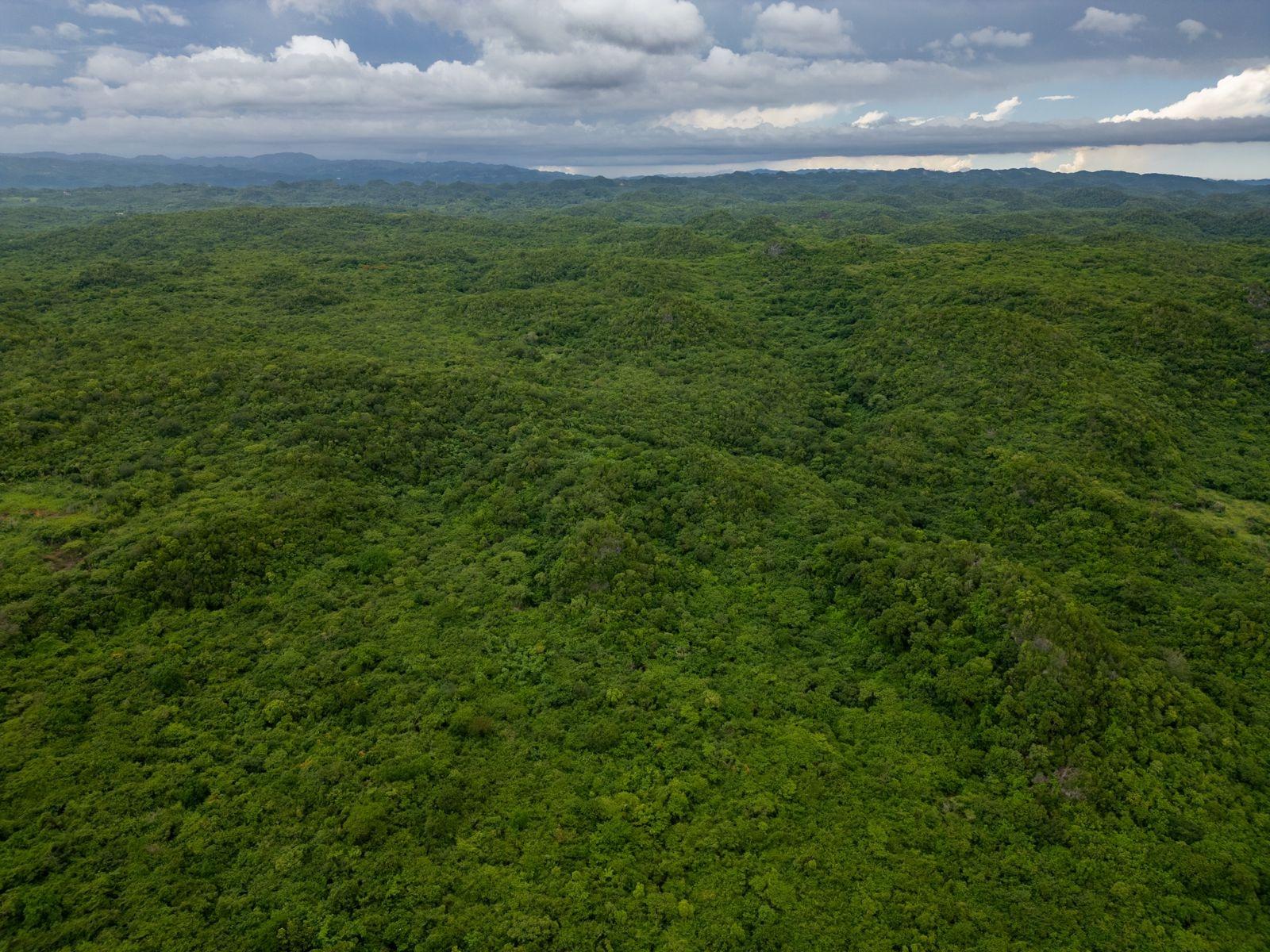 Sixth image of Part of Angels Pen in Spanish Town, St. Catherine, Jamaica - property is For Sale