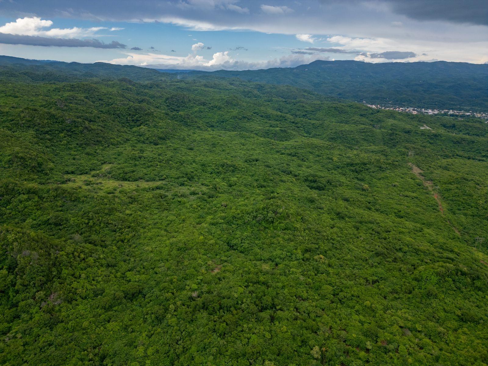 Seventh image of Part of Angels Pen in Spanish Town, St. Catherine, Jamaica - property is For Sale