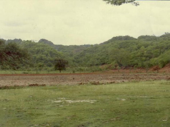 Ninth image of Part of Angels Pen in Spanish Town, St. Catherine, Jamaica - property is For Sale