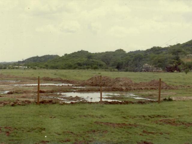Tenth image of Part of Angels Pen in Spanish Town, St. Catherine, Jamaica - property is For Sale