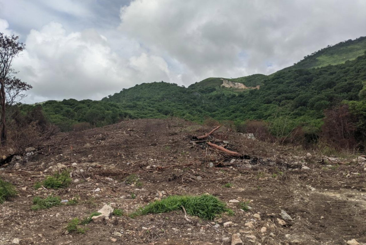 Third image of Mount George in Yallahs, St. Thomas, Jamaica - property is For Sale