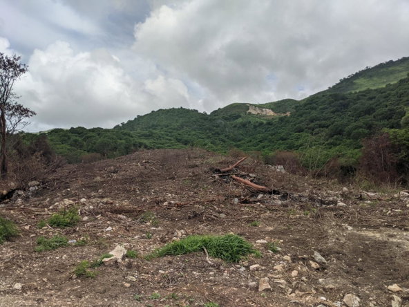 Third image of Mount George in Yallahs, St. Thomas, Jamaica - property is For Sale