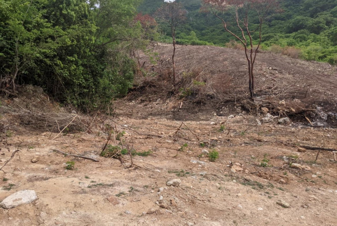 Fourth image of Mount George in Yallahs, St. Thomas, Jamaica - property is For Sale