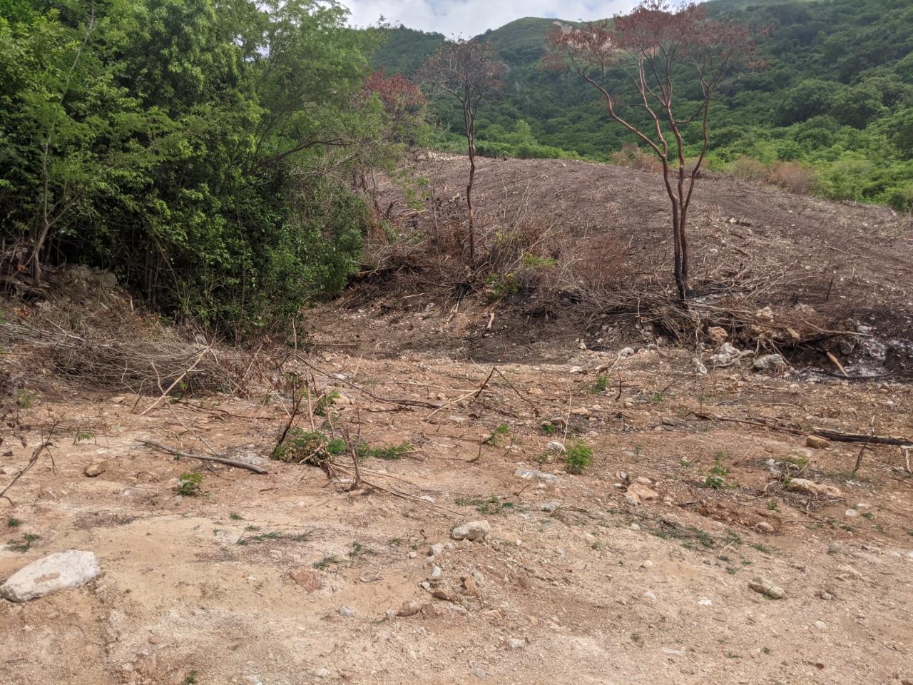 Fourth image of Mount George in Yallahs, St. Thomas, Jamaica - property is For Sale