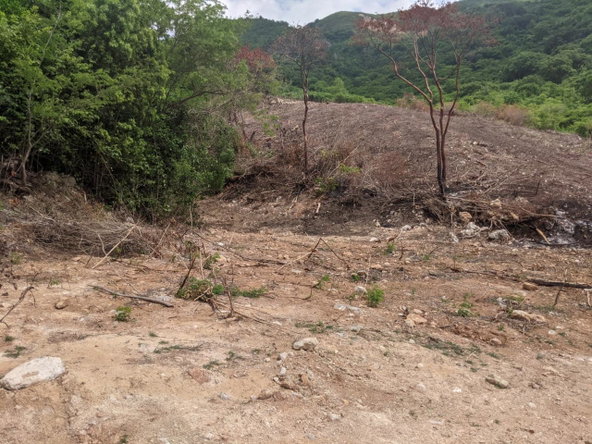 Fourth image of Mount George in Yallahs, St. Thomas, Jamaica - property is For Sale