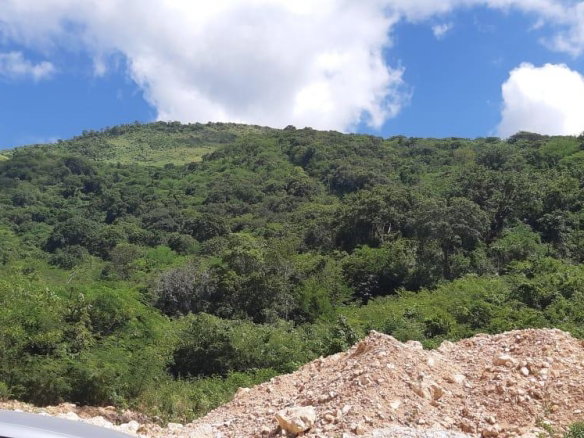 First image of Mount George in Yallahs, St. Thomas, Jamaica - property is For Sale
