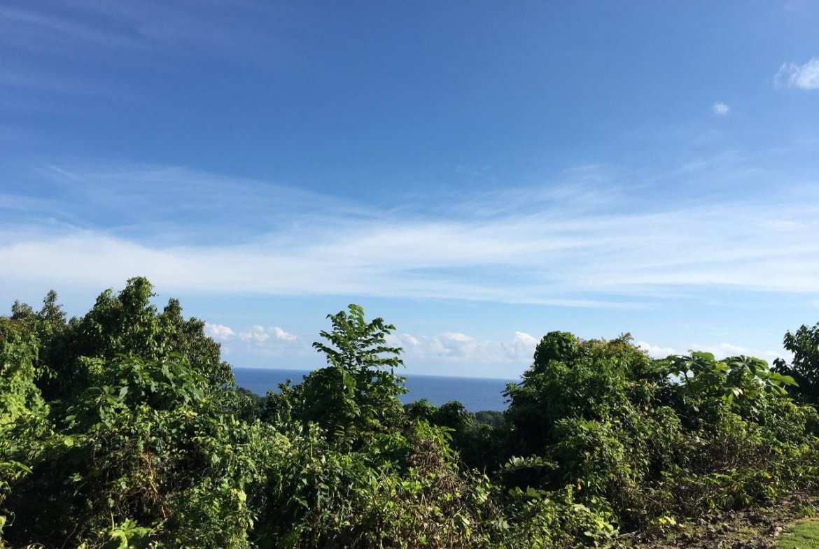 Third image of Commodore Donnington in Long Bay, Portland, Jamaica - property is For Sale