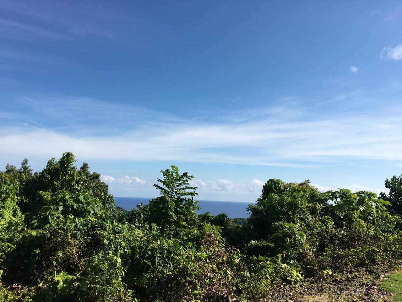 Prime-3-Acre-Residential-Development-Land-for-Sale-in-Portland-Jamaica Third image of Commodore Donnington in Long Bay, Portland, Jamaica - property is For Sale