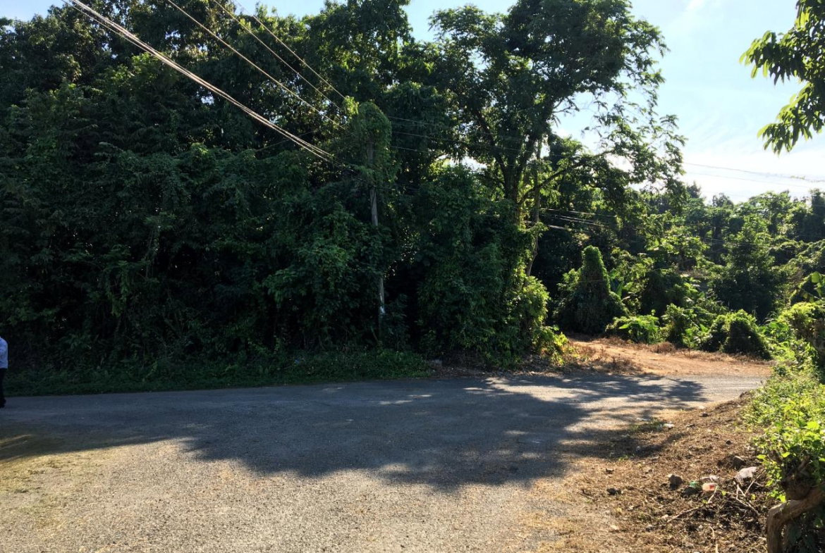 Fourth image of Commodore Donnington in Long Bay, Portland, Jamaica - property is For Sale
