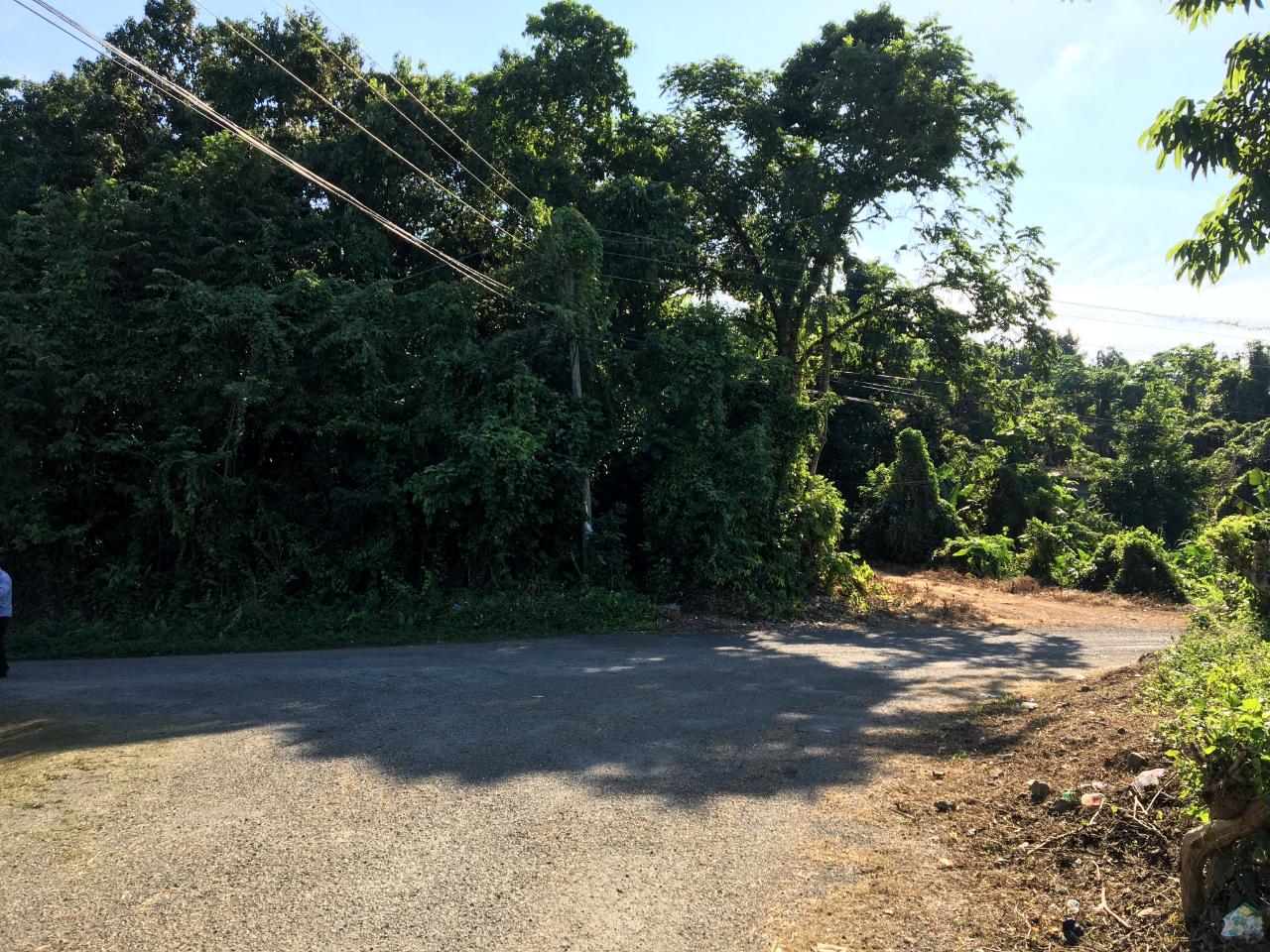 Prime-3-Acre-Residential-Development-Land-for-Sale-in-Portland-Jamaica Fourth image of Commodore Donnington in Long Bay, Portland, Jamaica - property is For Sale
