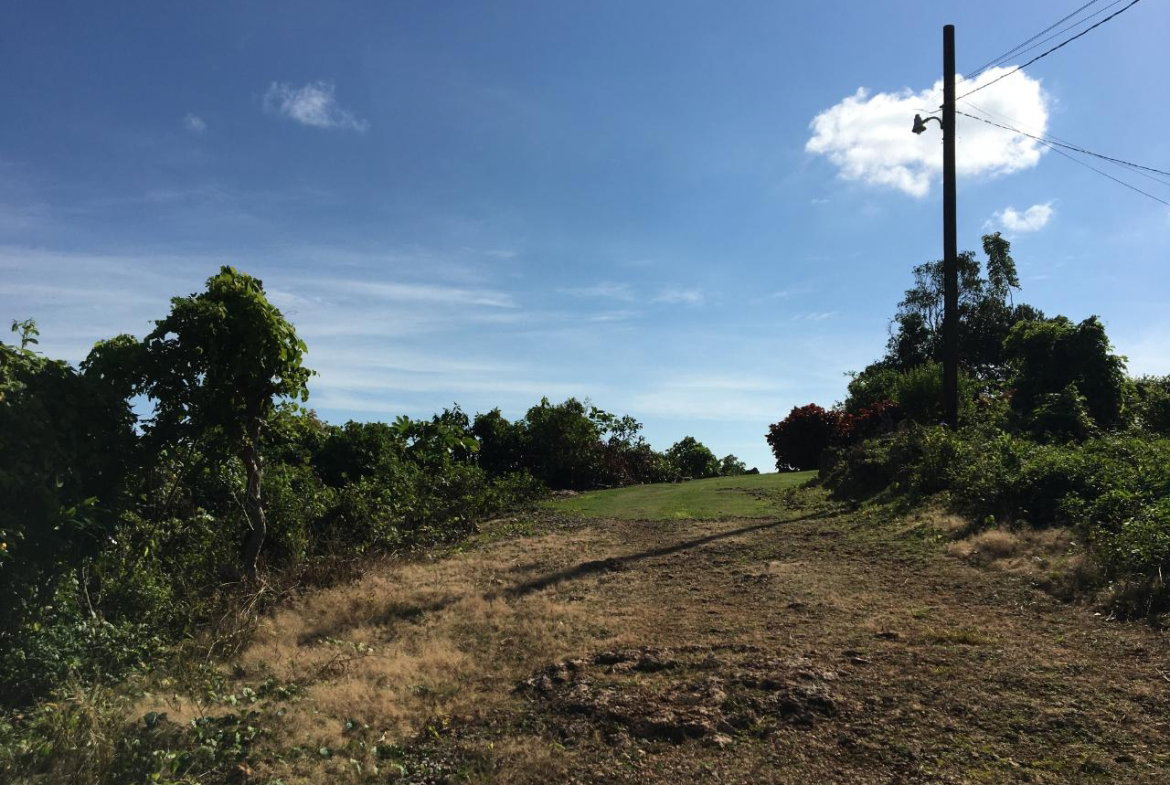 Fifth image of Commodore Donnington in Long Bay, Portland, Jamaica - property is For Sale
