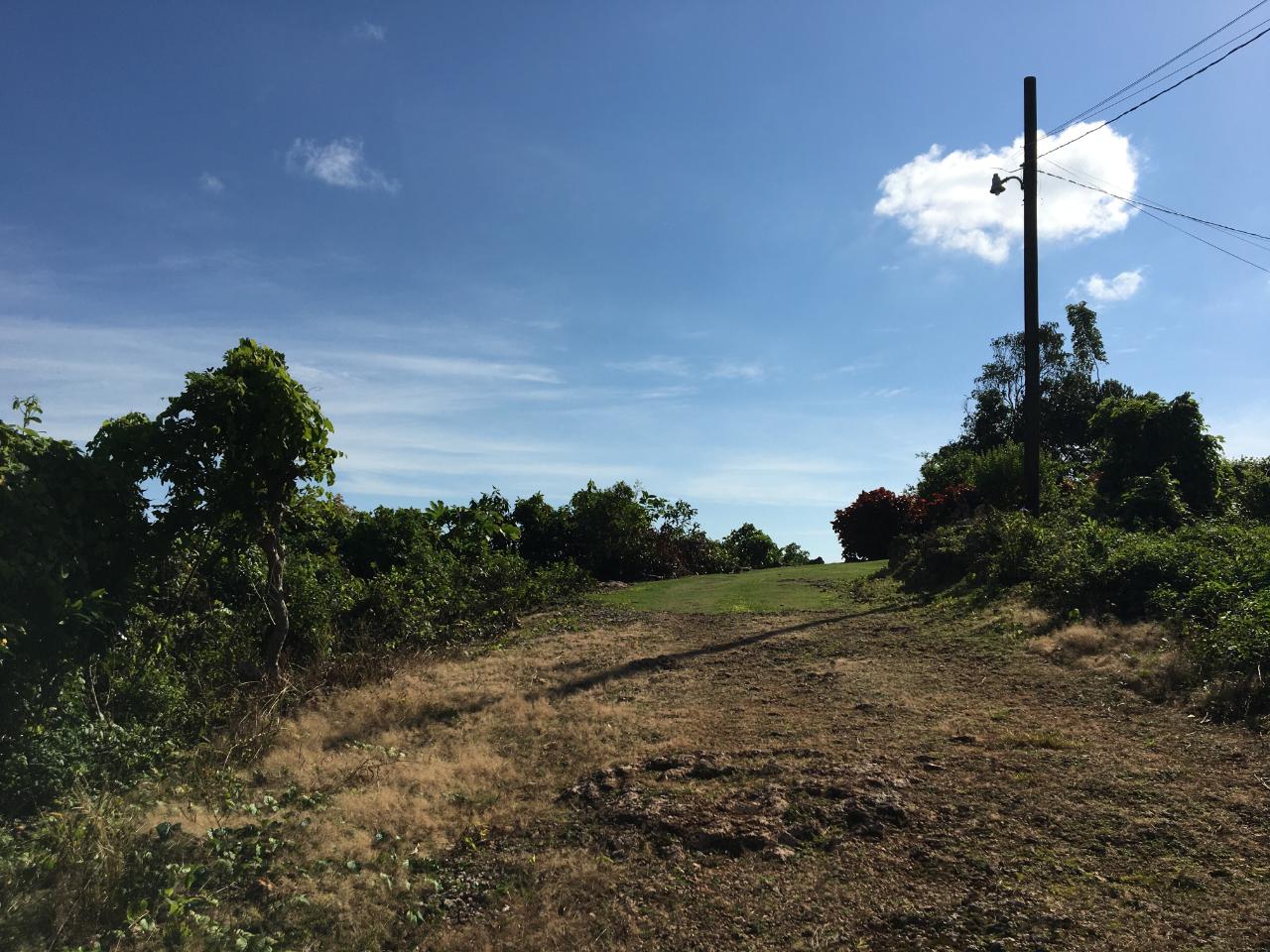 Prime-3-Acre-Residential-Development-Land-for-Sale-in-Portland-Jamaica Fifth image of Commodore Donnington in Long Bay, Portland, Jamaica - property is For Sale
